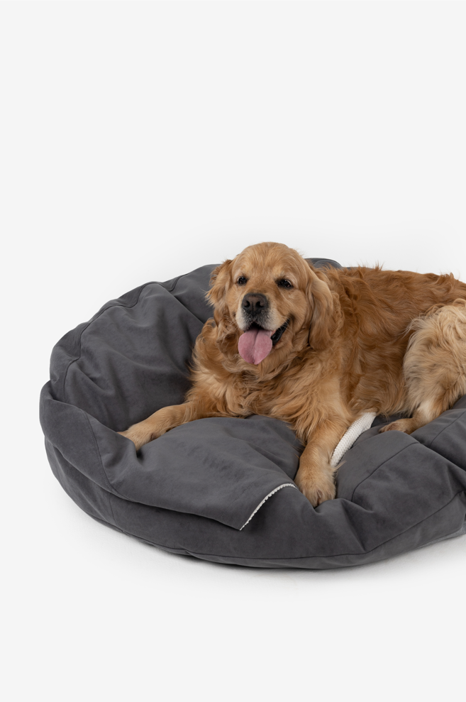 Kimlor dog bed hot sale